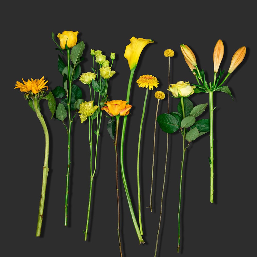 Verrassingsboeket seizoensbloemen geel