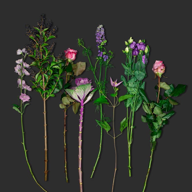 Verrassingsboeket seizoensbloemen paars