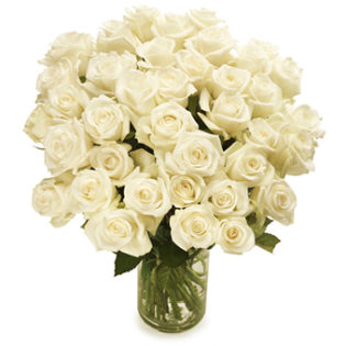 bos witte rozen groot