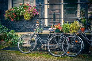 Houten fietsstad van Nederland