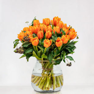 Bos Oranje Tulpen