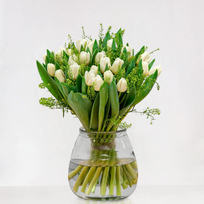 Bos Witte Tulpen